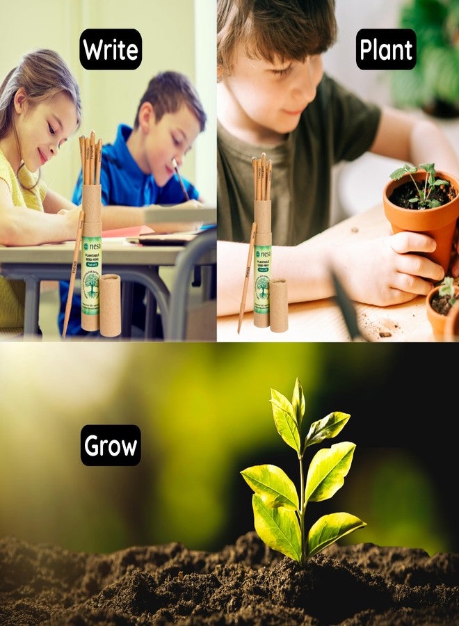 نيسا أقلام نيسا القابلة للزراعة مع بذور - أقلام حبر جاف أزرق | صديقة للبيئة ومستدامة | ورق معاد تدويره | عبوة من 8 أقلام | مجموعة هدايا للمدارس والمكاتب والمنازل والشركات - Image 2