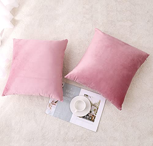 NiNi ALL Decorative Throw Pillow Covers Velvet Soft for Couch Sofa Bedroom Living Room Outdoor Pack of 2 20x20 Inch Pink - Image 2