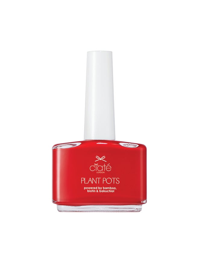 سيات أصص نباتات سناتش