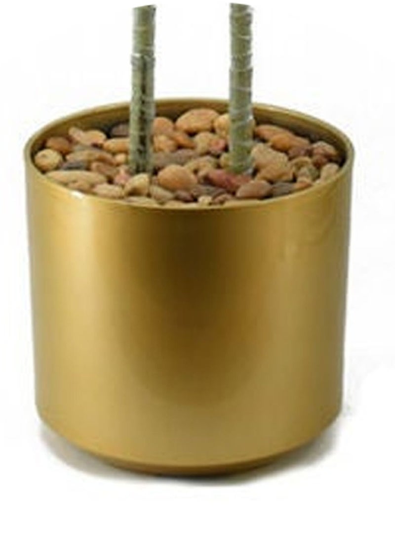 co arma - Artificial aloe vera tree with two symmetrical branches, 130 cm high - Image 1