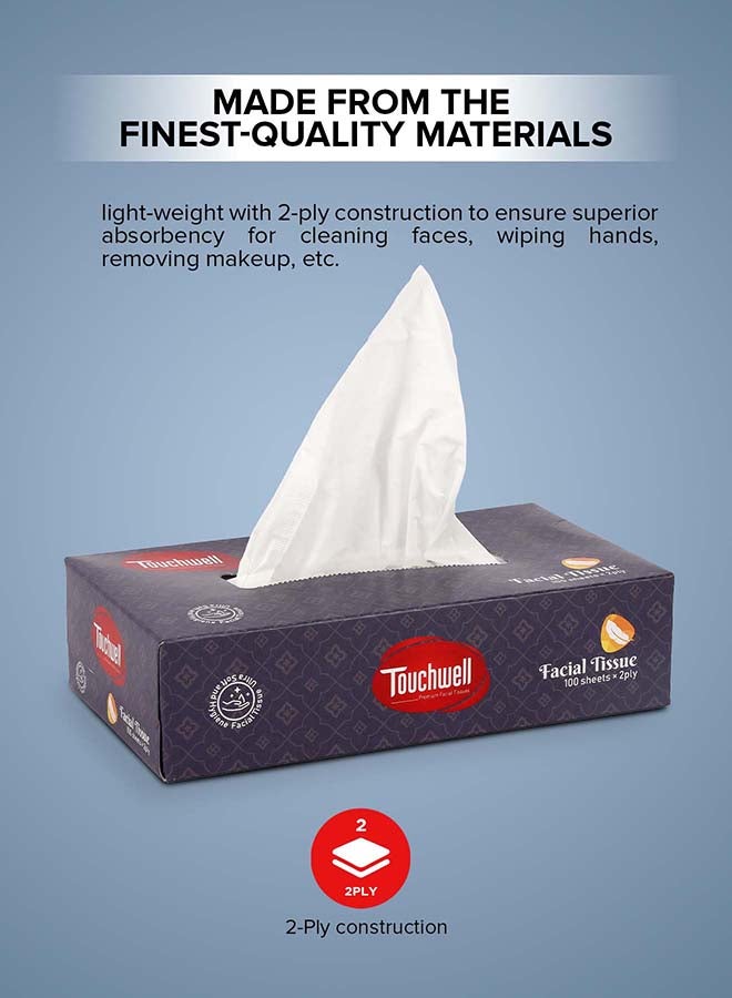 Touchwell Tissue Box 100 Sheet each box 2-Ply 5 pcs combo pack facial tissue - Image 3