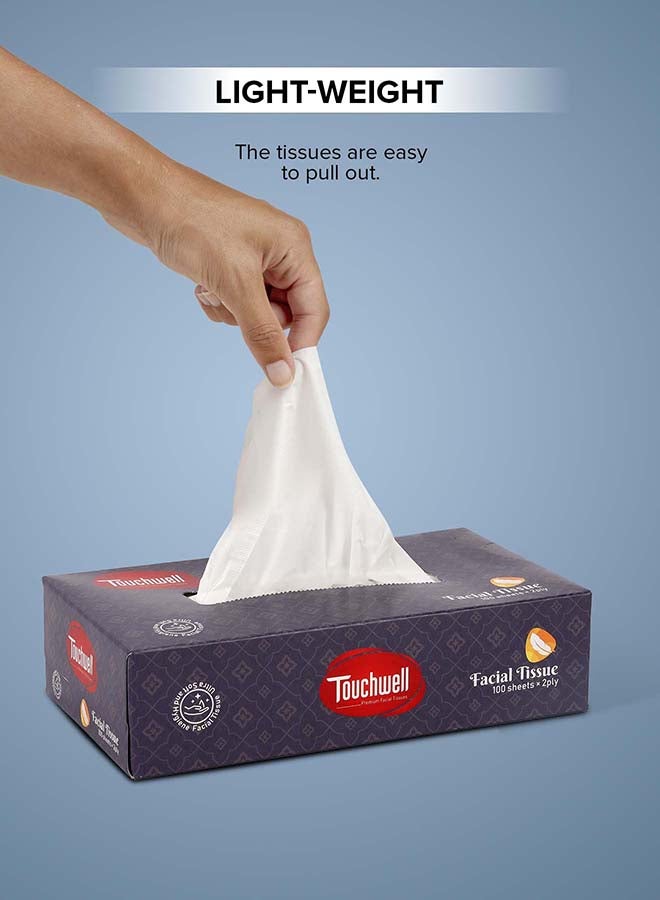 Touchwell Tissue Box 100 Sheet each box 2-Ply 5 pcs combo pack facial tissue - Image 4