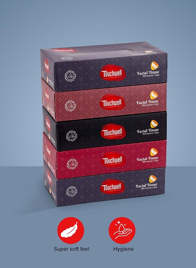 Touchwell Tissue Box 100 Sheet each box 2-Ply 5 pcs combo pack facial tissue - Image 1