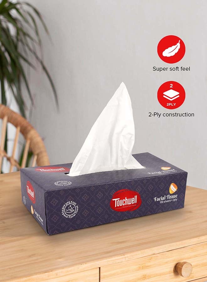 Touchwell Tissue Box 100 Sheet each box 2-Ply 5 pcs combo pack facial tissue - Image 5