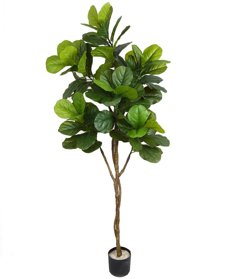 ARICK DECOR 6Ft Artificial Fiddle Leaf Fig Tree in Pot, 180cm Realistic Faux Lush Green Silk Leaf Plant, Peacock Shaped Large Floor Decor for Home, Office & Balcony - Image 2
