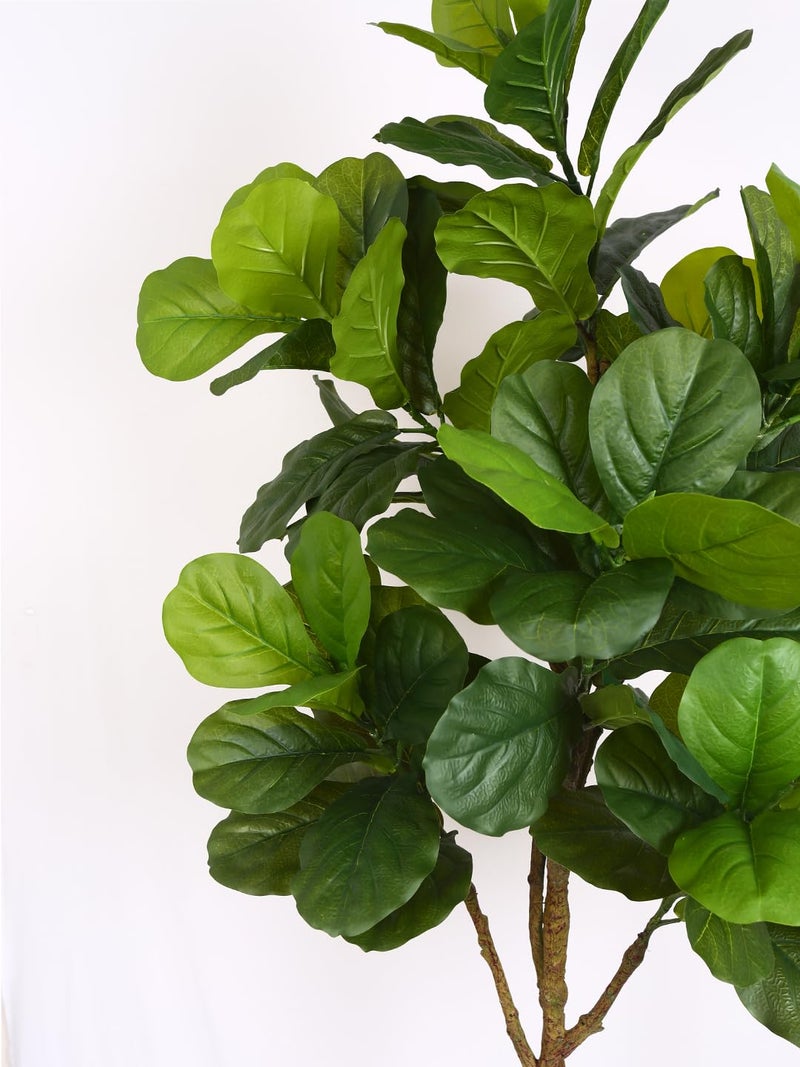 ARICK DECOR 6Ft Artificial Fiddle Leaf Fig Tree in Pot, 180cm Realistic Faux Lush Green Silk Leaf Plant, Peacock Shaped Large Floor Decor for Home, Office & Balcony - Image 5