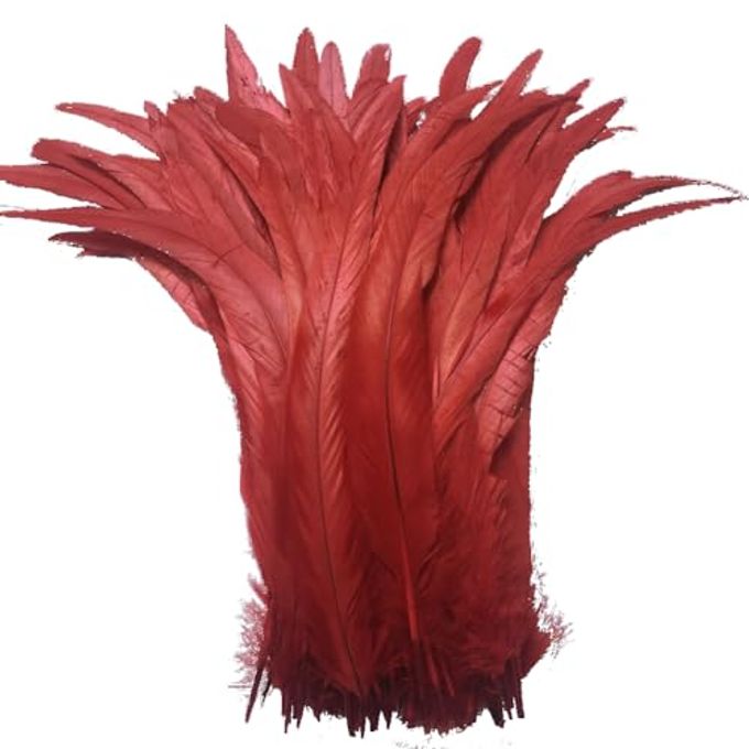 Sowder Red Rooster Coque Tail Feathers 12-14inch Lengh Pack of 50 - Image 1