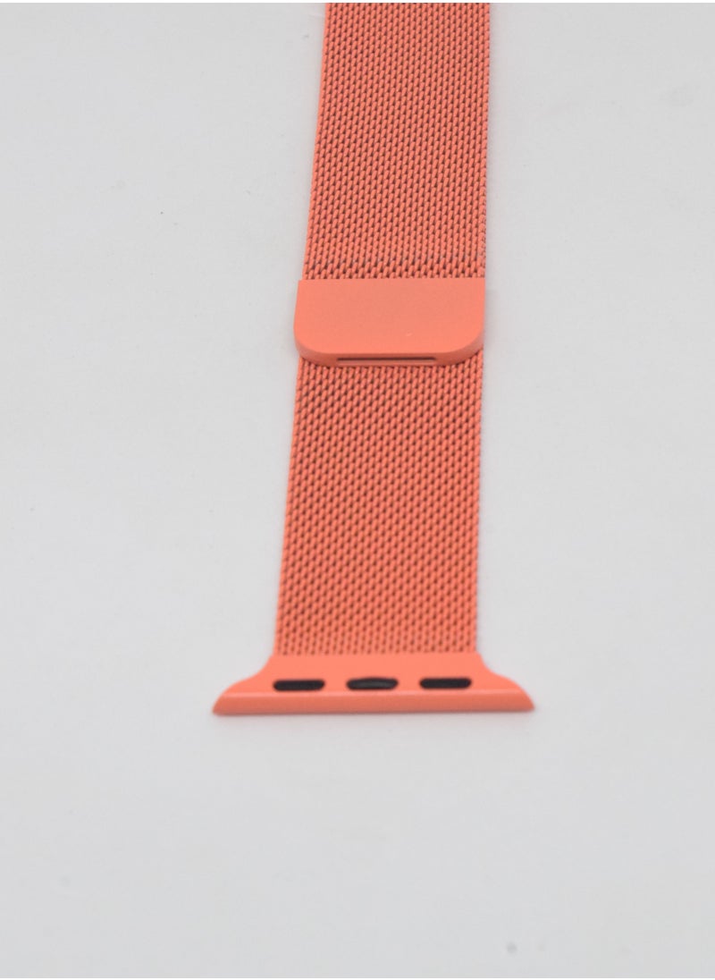 BORTONY - Metal Replacement Watch Band For Apple Series 6/5/4/3 Size 42/44mm - Image 1