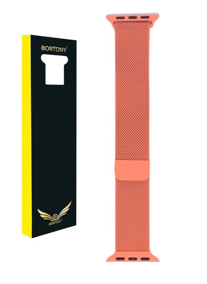 BORTONY - Metal Replacement Watch Band For Apple Series 6/5/4/3 Size 42/44mm - Image 1