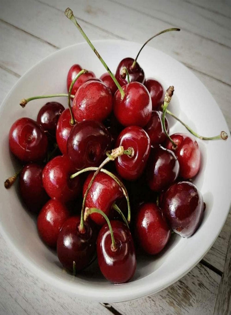 GGOOT 100Pcs Cherry Seeds Indoor and Outdoor Planting Fruit with Bright Red Skin Special Color High Ornamental Value for Beginners in Gardening - Image 2