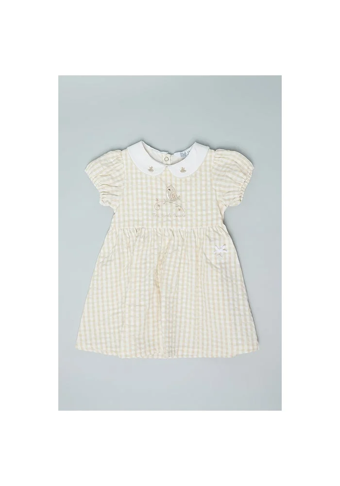 أر أند بي Checked Flared Dress with Peter Pan Collar and Puff Sleeves