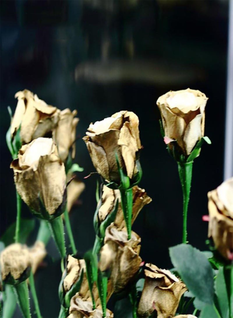 GGOOT 150Pcs/1 Pack Rare Golden Rose Flower Seeds, Garden Yard Bonsai Home Decoration - Image 1