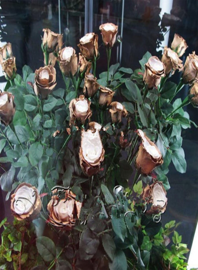 GGOOT 150Pcs/1 Pack Rare Golden Rose Flower Seeds, Garden Yard Bonsai Home Decoration - Image 5