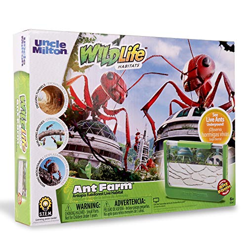 Uncle Milton Ant Farm Antopia Rainforest Ant Habitat - Observe Live Ants - STEM -Nature Learning Toy Green For 6 - 15 years - Image 4