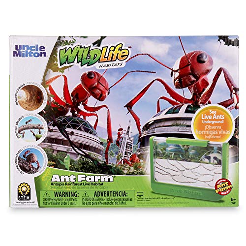 Uncle Milton Ant Farm Antopia Rainforest Ant Habitat - Observe Live Ants - STEM -Nature Learning Toy Green For 6 - 15 years - Image 1