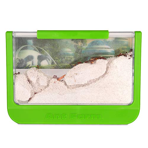 Uncle Milton Ant Farm Antopia Rainforest Ant Habitat - Observe Live Ants - STEM -Nature Learning Toy Green For 6 - 15 years - Image 2