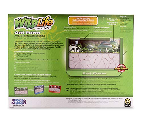 Uncle Milton Ant Farm Antopia Rainforest Ant Habitat - Observe Live Ants - STEM -Nature Learning Toy Green For 6 - 15 years - Image 5