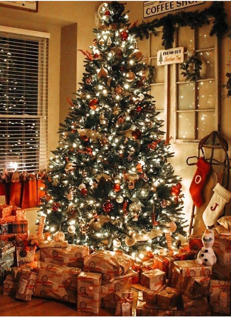 PAMEER - Multicolor 70ft 270 LEDs String Lights Black Wire Plug-in  String Home Decorative LED Strip for Christmas EID Ramadan Diwali and Wedding Parties Decoration Box Button Control 8 Modes - Image 1