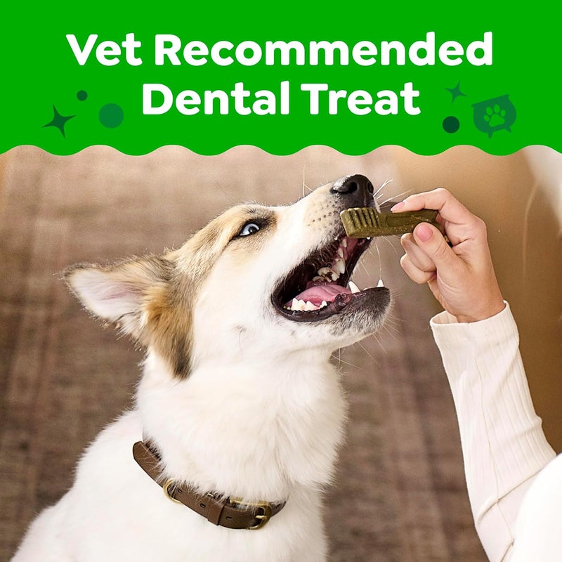 GREENIES Pumpkin Spice Flavor Regular Size Dog Dental Chews 12 Ounces 12 Treats - Image 3
