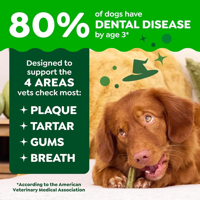 GREENIES Pumpkin Spice Flavor Regular Size Dog Dental Chews 12 Ounces 12 Treats - Image 4