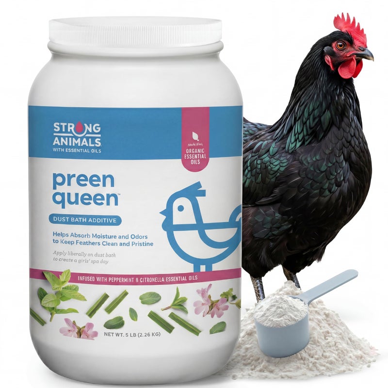 Strong Animals Preen Queen Chicken Dust Bath Additive Poultry Dust Bath for Chickens with Peppermint Citronella Oils Helps Absorb Moisture Odors Keep Feathers Clean 5 lb Jar - Image 2