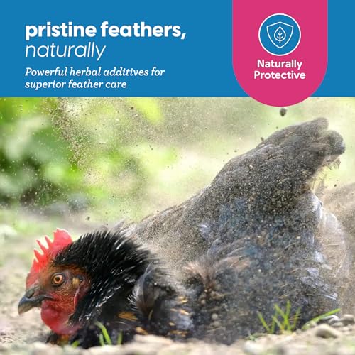 Strong Animals Preen Queen Chicken Dust Bath Additive Poultry Dust Bath for Chickens with Peppermint Citronella Oils Helps Absorb Moisture Odors Keep Feathers Clean 5 lb Jar - Image 3