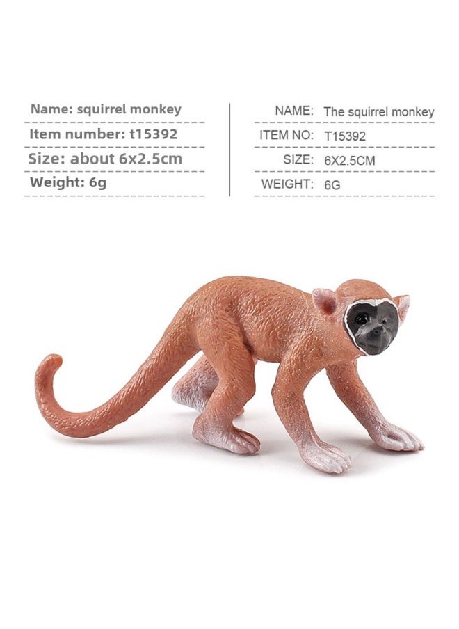 Generic Export Simulation Forest Animal Model Beaver Anteater Squirrel Monkey Rabbit White-tailed Deer Small Fox Toy-Color:PL127-201 Squirrel Monkey 6G  - Image 1