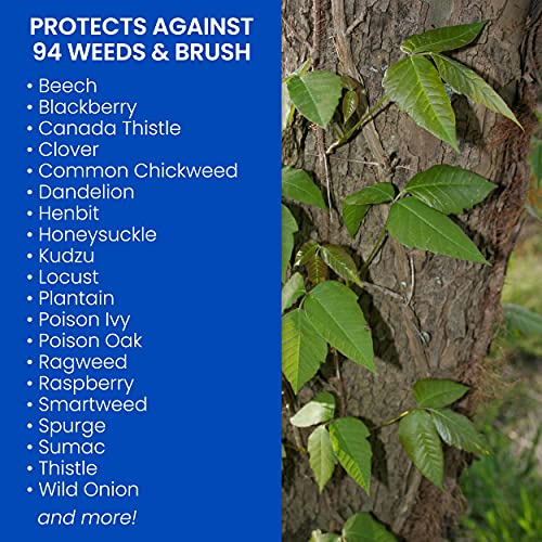 BioAdvanced Brush Killer Plus, Ready-to-Spray Weed Killer, 32 oz â€“ Kills Tough Brush Roots & Poison Ivy - Image 2