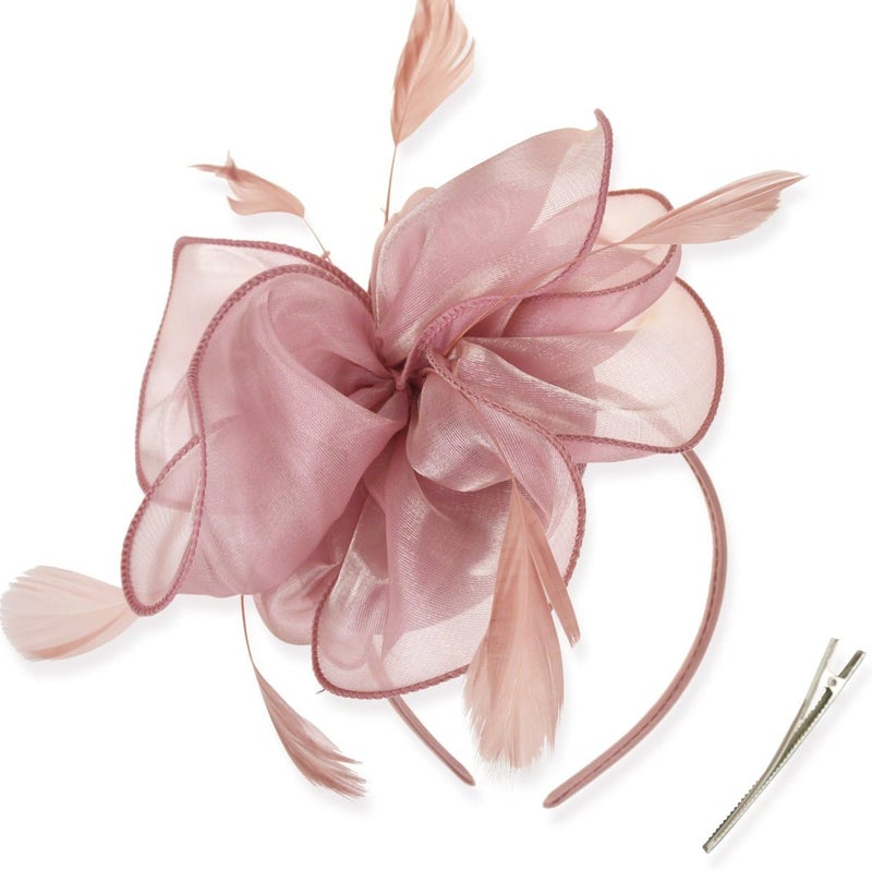 DRESHOW Fascinators Hat Flower Mesh Ribbons Feathers on a Headband and a Clip Tea Party Headwear for Girls and Women - Image 1