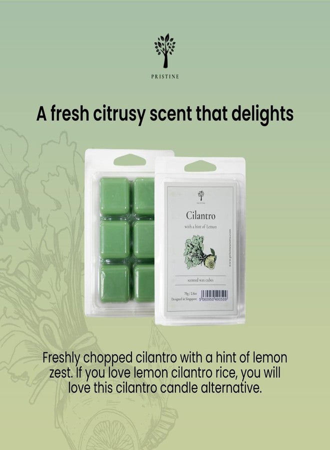PRISTINE Scented Wax Melts Wax Cubes and Candles Set with Tea Light Wax Warmer + Top 4 Popular Scented Soy Wax Melts, Pumpkin, Lavender, Cilantro, Coconut | Come with FREE 1 Wax Burner and 2 Tealights - Image 3