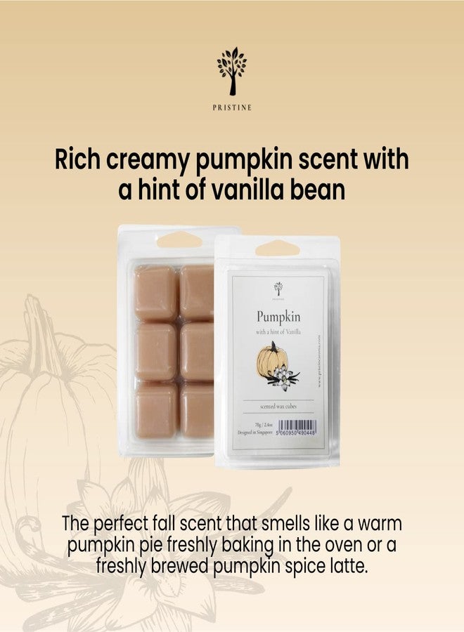 PRISTINE Scented Wax Melts Wax Cubes and Candles Set with Tea Light Wax Warmer + Top 4 Popular Scented Soy Wax Melts, Pumpkin, Lavender, Cilantro, Coconut | Come with FREE 1 Wax Burner and 2 Tealights - Image 5