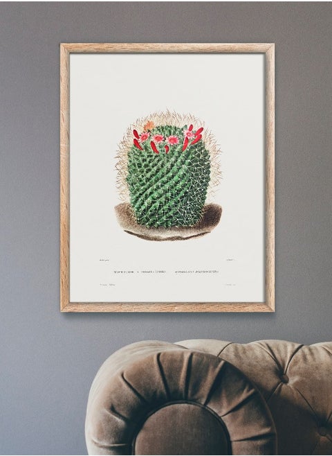 Pincushion Cactus (Botanical Lithograph for French Botanist Charles Antoine Lemaire) A4 A3 A2 Hi-Res Giclée Art Print, also available Framed