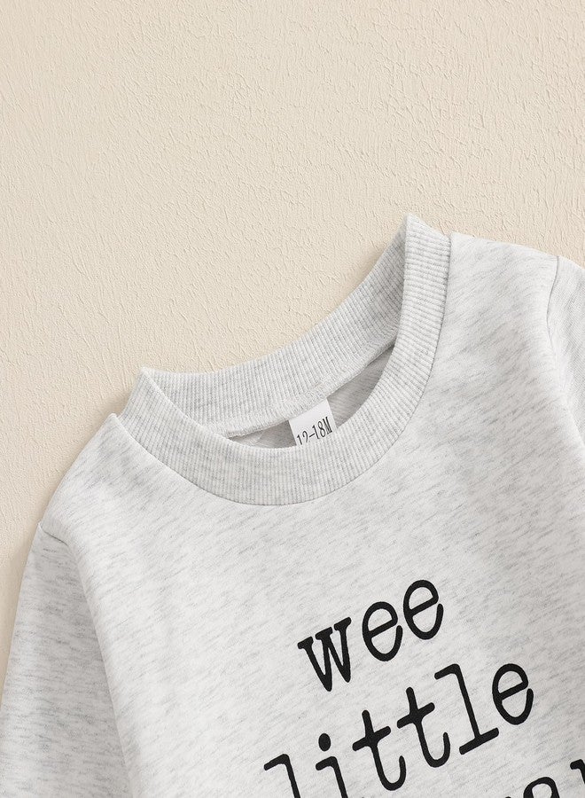 Pudcoco Kids Toddler Boys Girls St. Patrick's Day Outfit Sweatshirt Wee Little Hooligan Crew Neck Pullover Tops (Gray, 2-3 Years) - Image 4