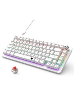 White 82RGB