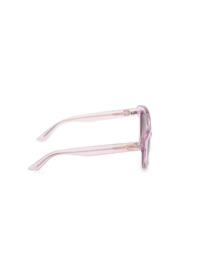 GUESS  Wayfarers Sunglasses for Women | Best Price UAE