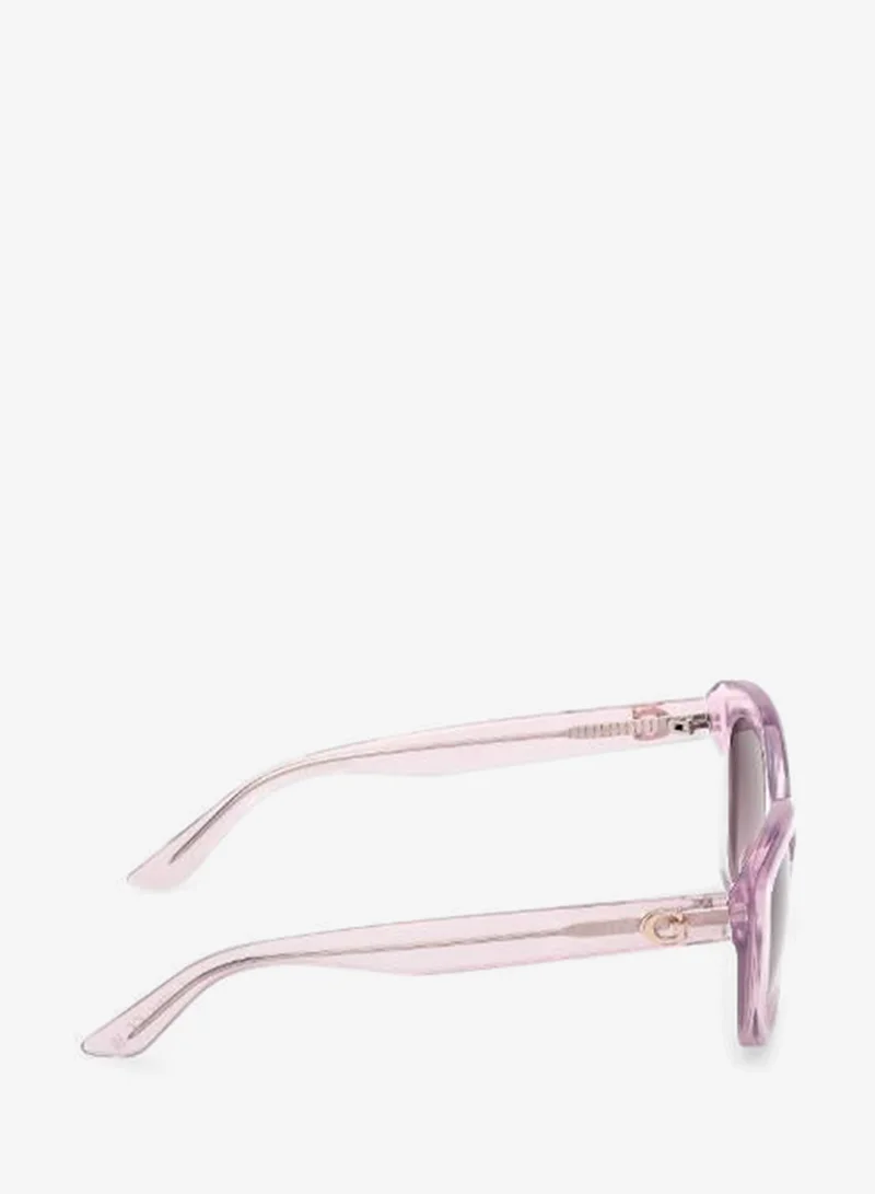 Guess  Wayfarers Sunglasses for Women | Best Price UAE
