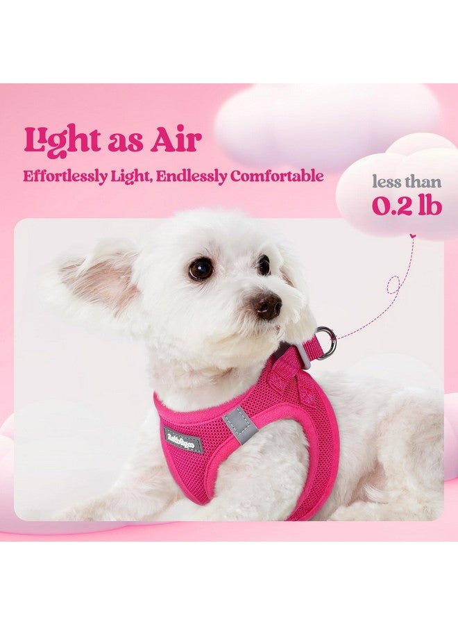 رابيتجو طقم حزام كلب صغير الحجم مع مقود من rabbitgoo، سترة جرو خفيفة وناعمة، حزام حيوان أليف شبكي قابل للتهوية، عاكس للضوء من أجل المشي الآمن والسهل، لون أحمر وردي S - Image 2