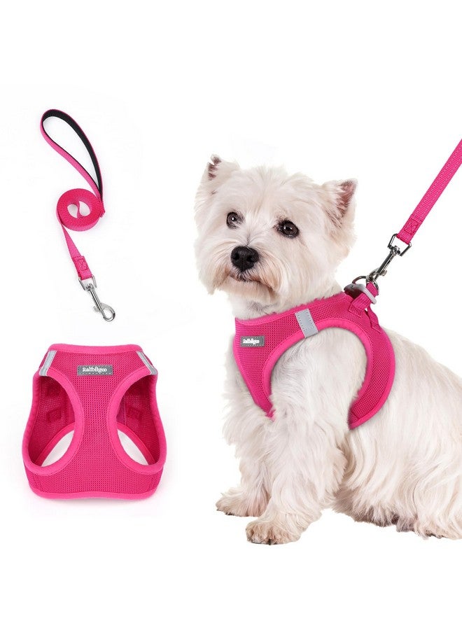 rabbitgoo Dog Harness Small Sized and Leash Set, Step in Soft Light Puppy Vest, Breathable Mesh Pet Harness, Reflective for Safe Easy Walking, Rose Red S