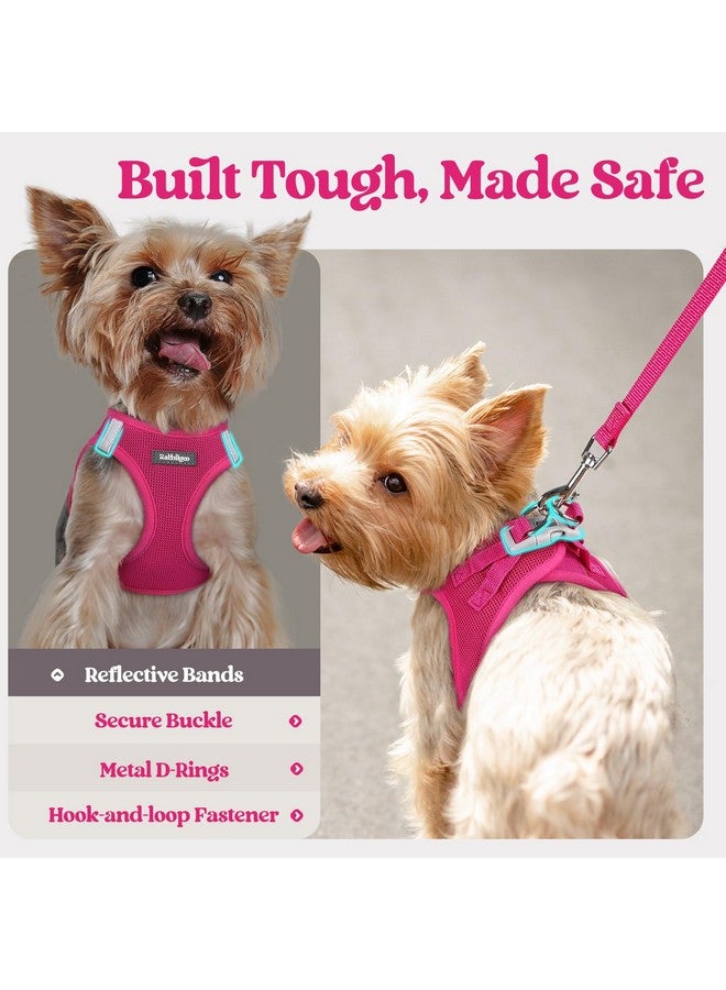 رابيتجو طقم حزام كلب صغير الحجم مع مقود من rabbitgoo، سترة جرو خفيفة وناعمة، حزام حيوان أليف شبكي قابل للتهوية، عاكس للضوء من أجل المشي الآمن والسهل، لون أحمر وردي S - Image 4