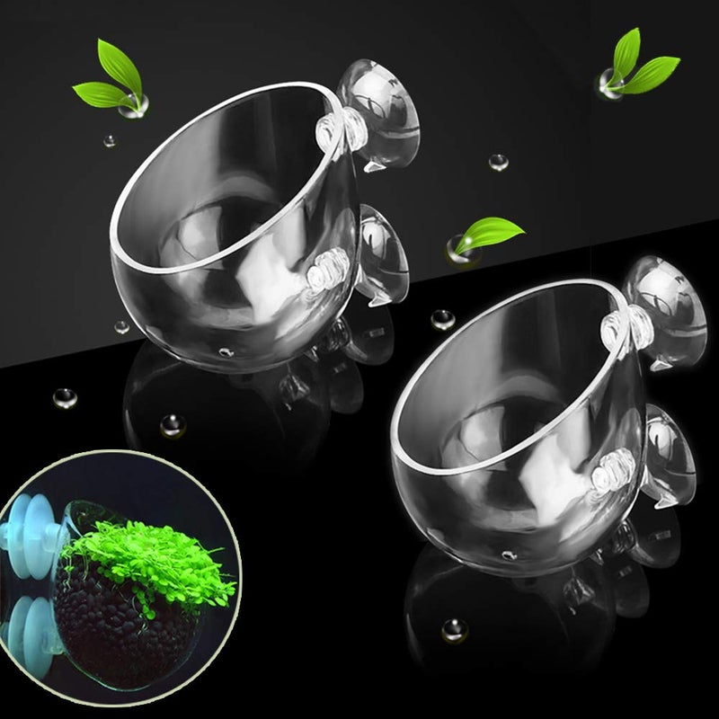 capetsma 2X Crystal Glass Aquatic Plant Pot Planter Red Shrimp Live Plants Fish Tank Holder with 4X Suction Cups for Aquarium Aquascape Decoration