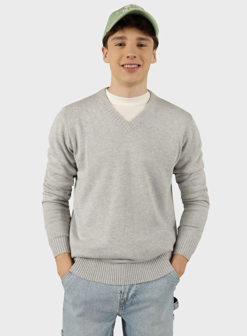 American Eagle Logo V-Neck Sweater