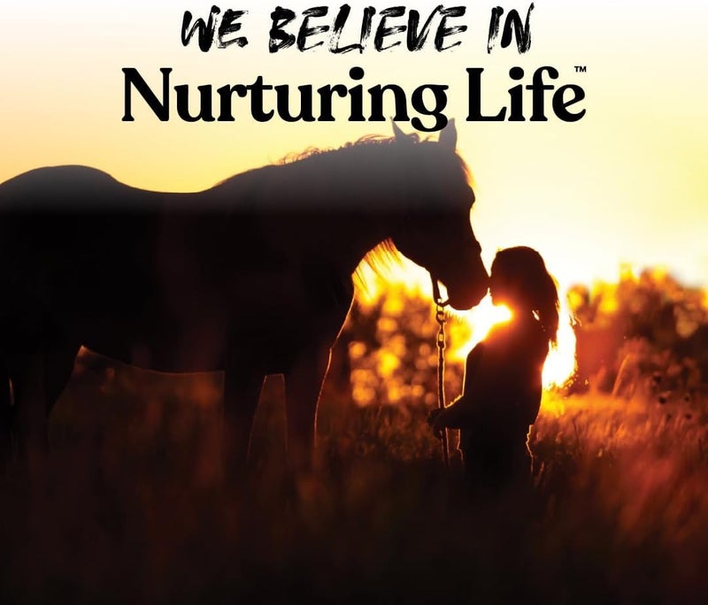 Manna Pro Bite-Size Nuggets for Horses, Pocket Sized Training Horse Treats, Peppermint Flavored Treats, Packs with Vitamins & Minerals, Great Taste Guaranteed, 4 lbs - Image 5