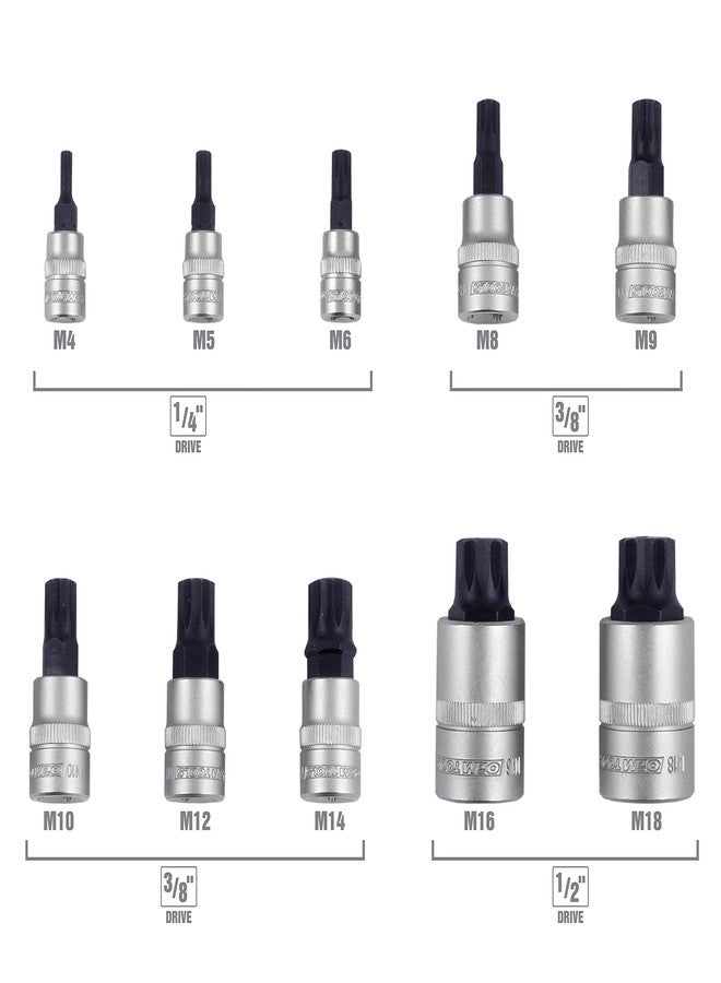 OEMTOOLS 23906 Triple Square Bit Set, Spline Socket Set 10 Piece, Magnetic Triple Square Socket Set, Triple Square Sockets Ideal for Automotive Repairs, Rust-Resistant Finish, M4-M18 Sizes - Image 2