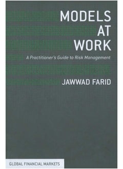 Models at Work: A Practitioner's Guide to Risk Management 