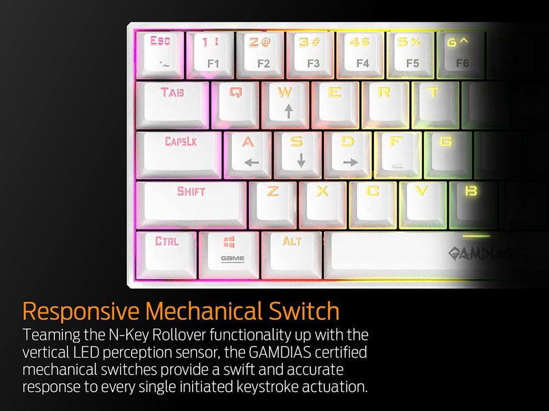 GAMDIAS 60% RGB Mechanical Gaming Keyboard with Blue Switch, RGB Backlit Mini Wired Keyboard with Blue Switches, Fully Programmable 61 Keys Compact Keyboard for Windows Laptop PC - Image 4