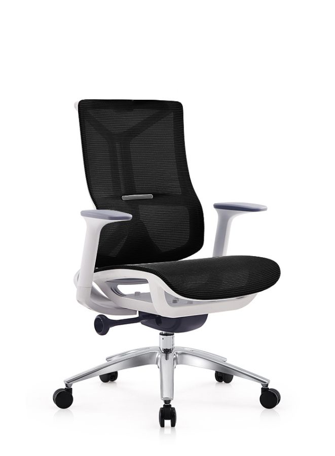 Modern Ergonomic Office Chair Without Headrest And Aluminum Base for Office, Home Office and Shops, High Back, Black - Image 1