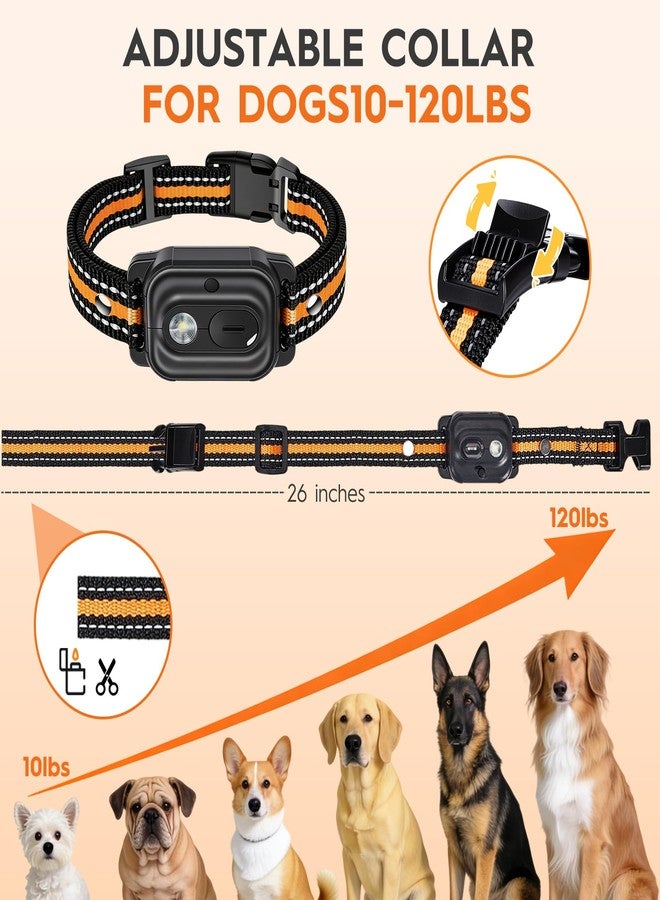 MKZ Dog Training Collar with Remote 3300FT for 3 Dogs, IPX7 Waterproof Rechargeable Training Collar with Beep, Vibration, Training Collar for Large Dogs, Small Dogs, Medium Dogs (10-120 lbs) - Image 5