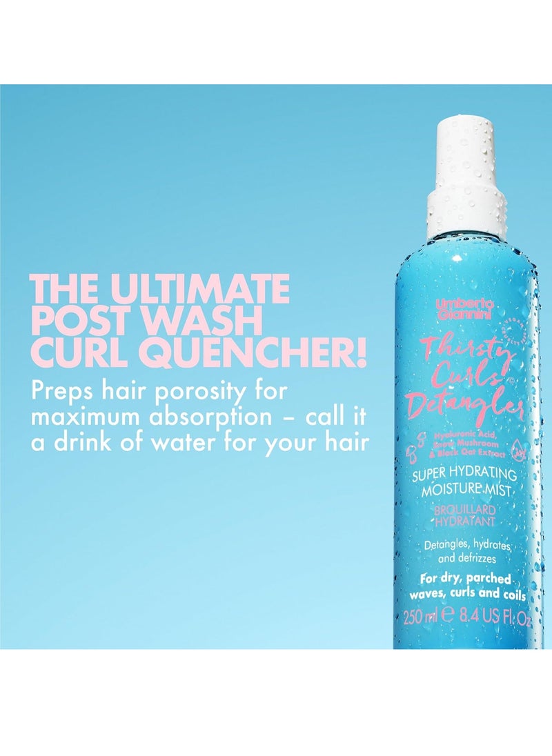 Umberto Giannini Umberto Giannini Thirsty Curls Detangler Super Hydrating Moisture Mist 250ml - Vegan Leave In Conditioner Spray For Dry, Knotty Hair, Clear  - Image 4