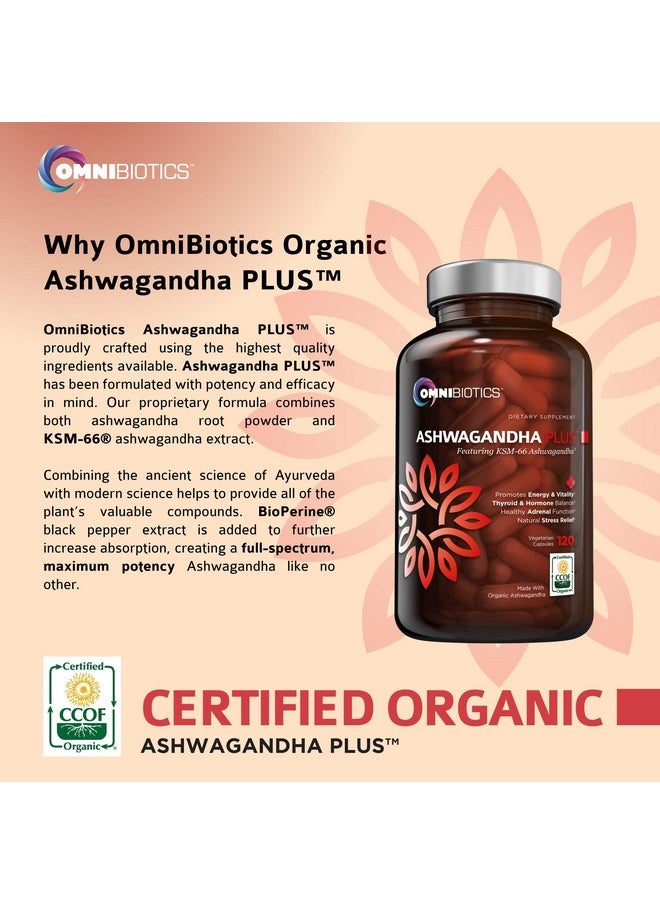 OmniBiotics - Ashwagandha Organic Capsules Clinical Strength 1300 Mg With Ksm66 Ashwagandha Extract 120 Vegan Capsules Natural Stress Relief Supplement - Image 1