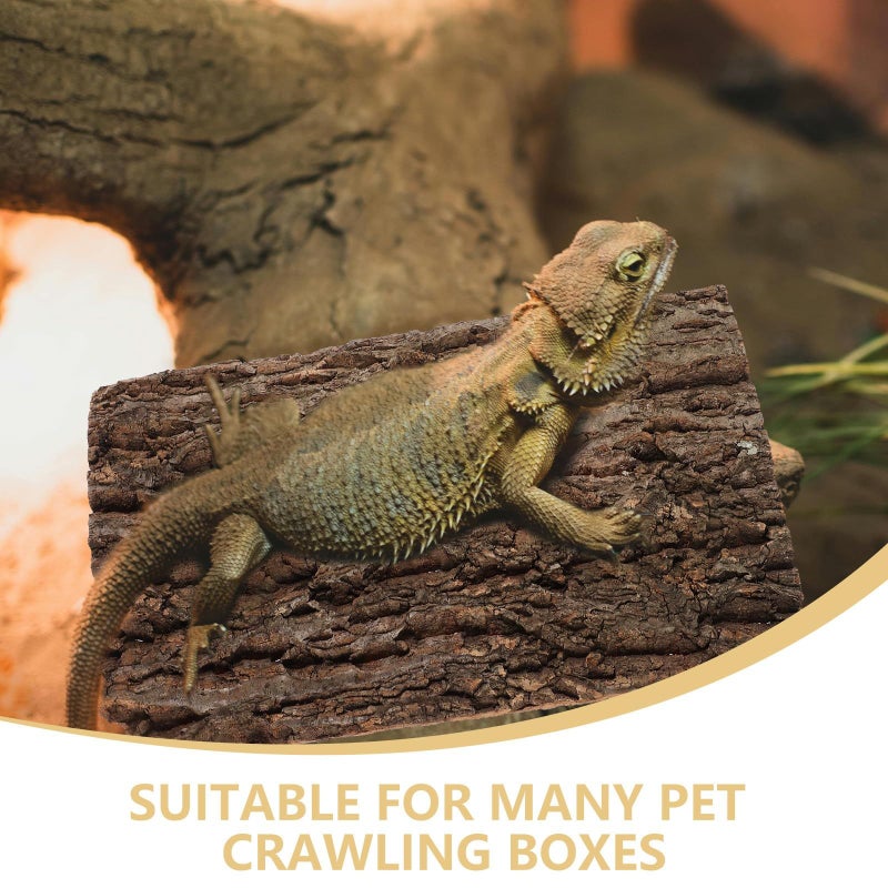 Expanded Natural Reptile Bark Cork Bark Terrarium Background Board 20x30cm Habitat Decor for Climbing and Shelter - Image 4